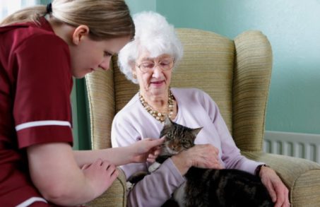 care worker chatting to her elderly pacient and strocking her cat